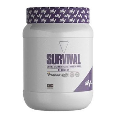 sfy-survival-recovery